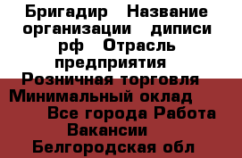 Бригадир › Название организации ­ диписи.рф › Отрасль предприятия ­ Розничная торговля › Минимальный оклад ­ 35 000 - Все города Работа » Вакансии   . Белгородская обл.